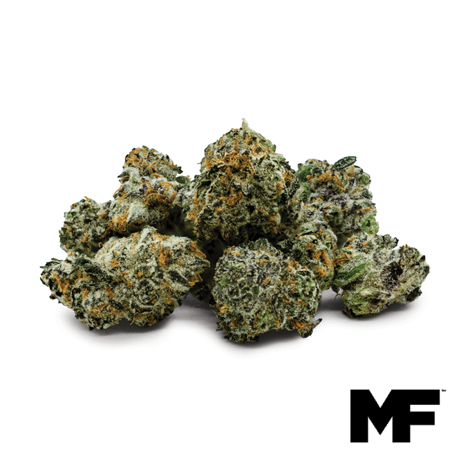 Miami Queso - Minis 7G